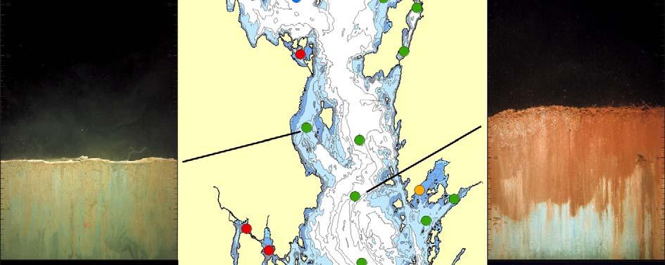 Figur 31 viser tilstandsklasse i henhold til BHQ indeksen og bilder fra utvalgte stasjoner i de sentrale delene av fjorden.