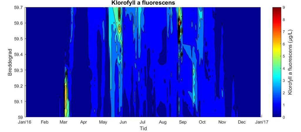 Samtidig med økningene i fluorescens i juni og september var det en reduksjon i saltholdigheten i overflaten, med laveste verdier i de indre delene av fjorden.
