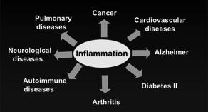 IPF patogenese An-- fibro-sk behandling ved IPF Gammel