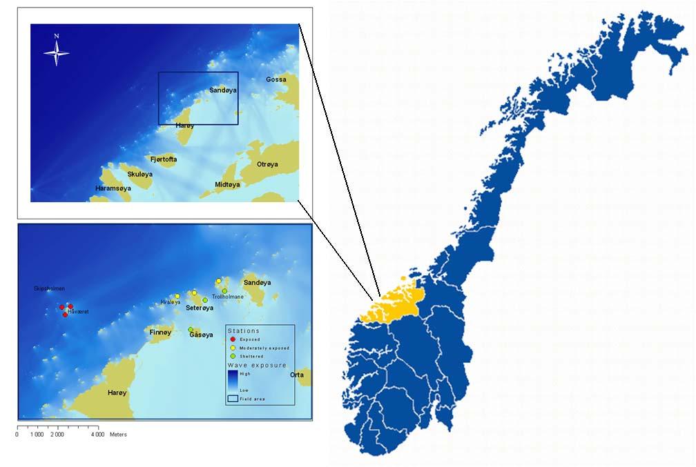 Figur 2.1 Kart som viser hvor innsamlingen av datamaterialet ble utført. Innfelt er et utsnitt med oversikt over stasjonene som ble benyttet som utgangspunkt for innsamlingen av fisk.