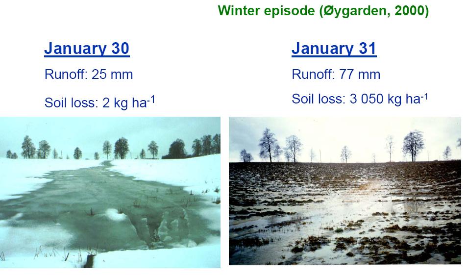 Effects of warming on phosphorus dynamic in lakes Change stratification in the lake