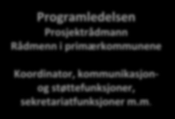 m. Administrativt programstyringsnivå