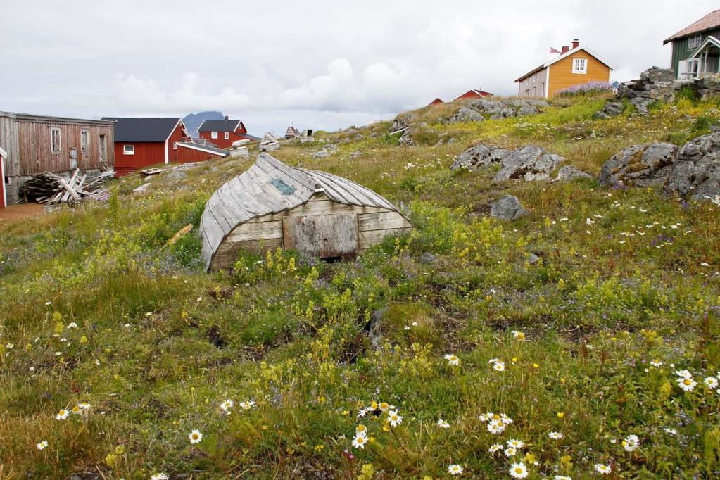 av ett og toårige arter som