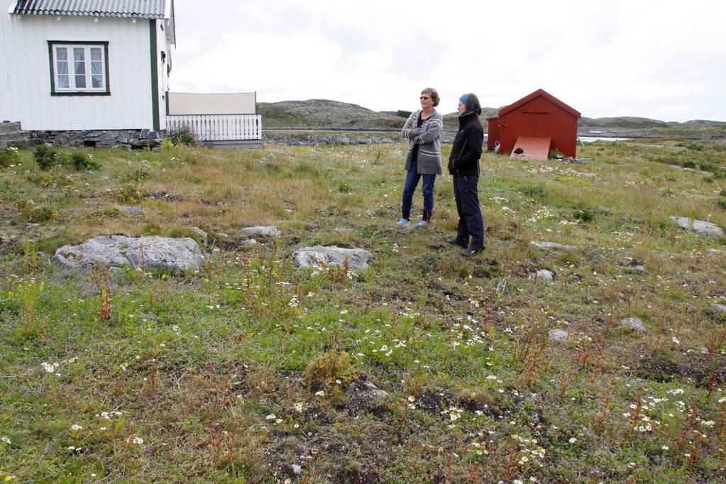 Bilde 6: Mer og mer stein og berg kommer opp i dagen som følge