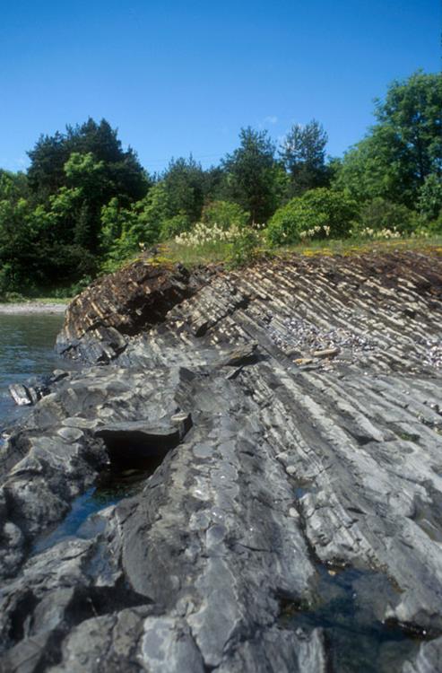 Sedimentære bergarter Avsetningsbergarter