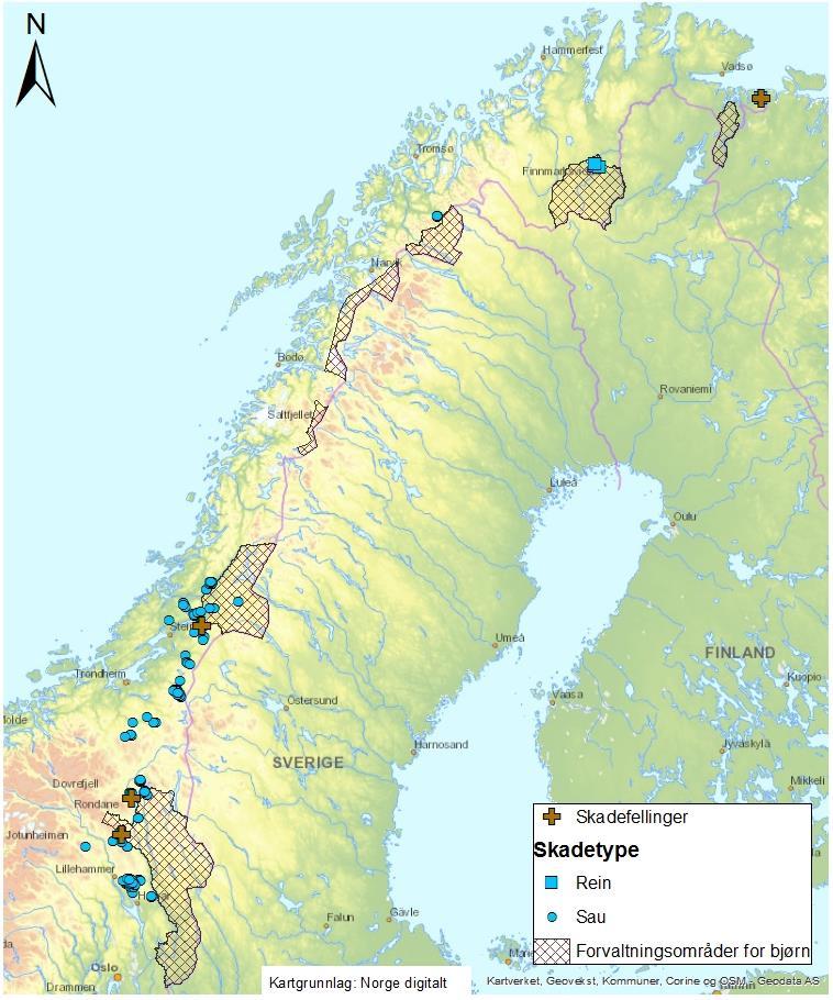 gjennomsnittsalder på disse er viktig for måloppnåelsen framover.