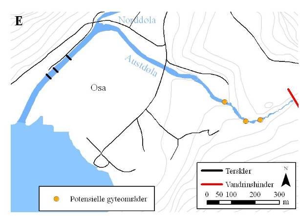 De fleste laksene har blitt registrert i Norddøla, og antallet registrerte villaks har variert mellom 12 (26) og 2 (28).