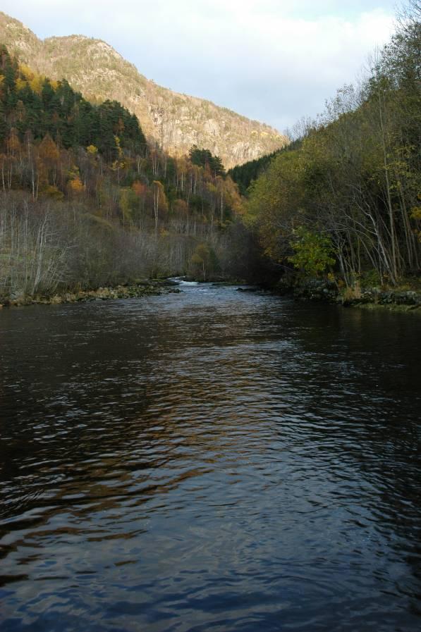 7.3 Bonitering Boniteringen av Jondalselva ble foretatt 26.6.28. Strekningen fra Haugafossen ned til sjøen ble undersøkt fra land og ved vading på kryss og tvers av elva.