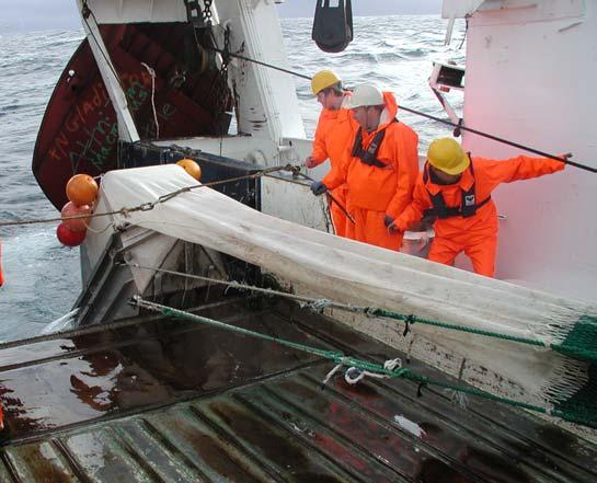 Under tråling skal skipper/styrmann føre et standard skjema for registrering av trålens gange, bl.a. posisjon, tidspunkt for bunnkontakt, tauehastighet, åpning, etc.