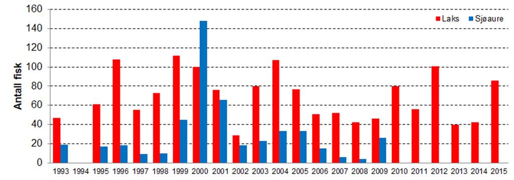 Det har vært fanget fra under 30 til over 100 laks årlig (Figur 6).