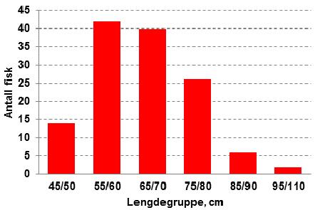 Jørpeland. Trappen ble etter dette passerbar for fisk. I 2013 var telleren i fisketrappen i Jørpelandsåna i drift f.o.m. juni.