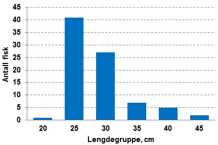 Når en fisk passerer telleverket, gis det et signal til et videosystem som gjør et opptak av den aktuelle fisken og lagrer dette på harddisk.