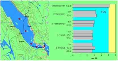 Grenseverdien for farge er 2 mgpt/l og for TOC er 5 mg C/l.