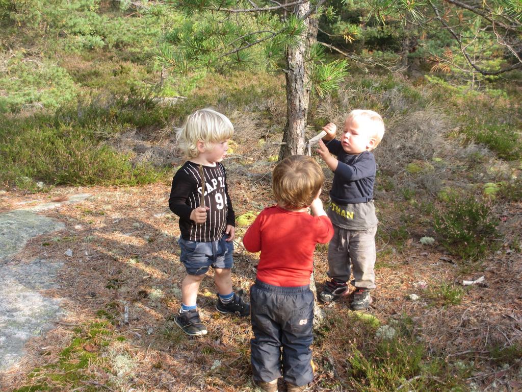 Asmaløy barnehages verdigrunnlag: Barnehagen skal i samarbeid og forståelse med hjemmet ivareta barnas behov for omsorg og lek, og fremme læring og danning som grunnlag for allsidig utvikling.