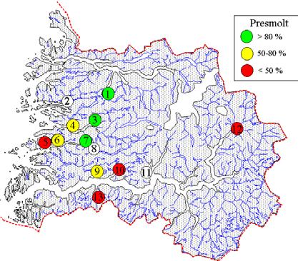 I Åelva, Ommedalselva, Nausta, Rivedalselva og Ytredalselva låg ungfiskbiomassen på same nivå, med 4 til 5 g /1m 2, medan Redalselva og Kvamselva hadde høgast biomasse med høvesvis 64 og 715 g