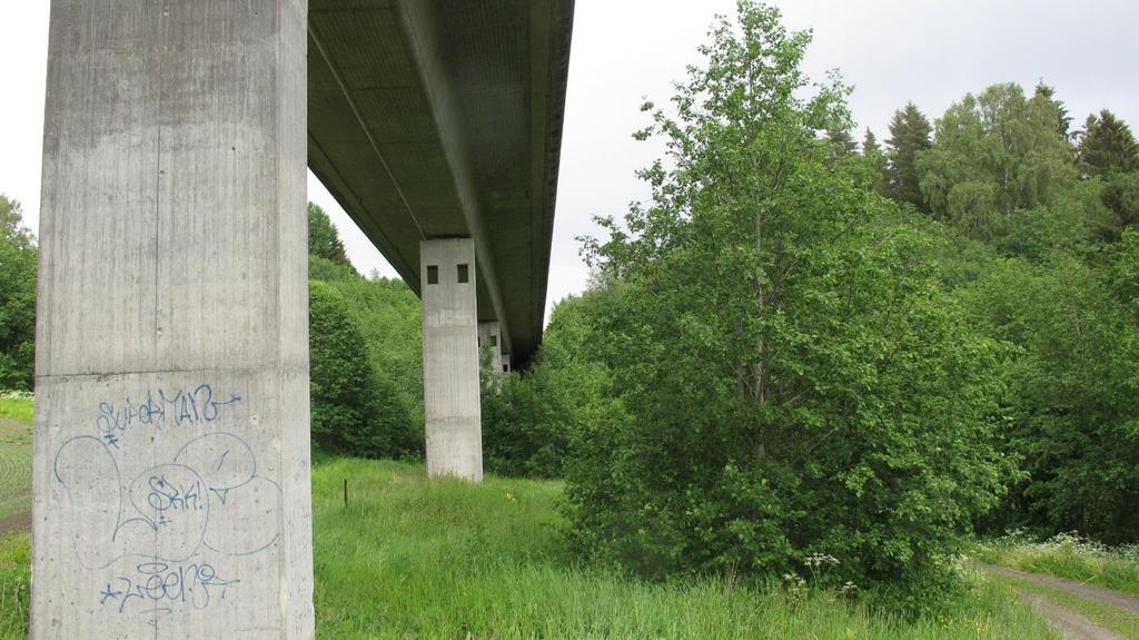 58 Gardermobanen Venjar-Eidsvoll (IC-nytt dobbeltspor). De deler av lokaliteten som faller innenfor planområdet/influensområdet er befart i felt av Wold 25.06.2015.