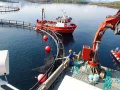 Erfarne lakseoppdrettere bekrefter at EcoNet er svært brukervennlig og enkel å håndtere/rengjøre med noten stående i sjøen.