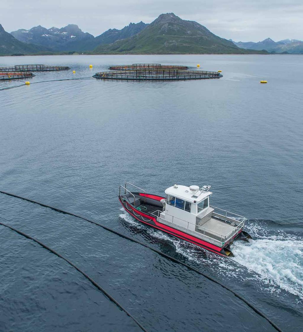 Arbeidsbåter Designet for ekstreme forhold De robuste arbeidsbåtene fra Polarcirkel er kjent for praktisk design, høy kvalitet, stor fleksibilitet og lite vedlikehold.