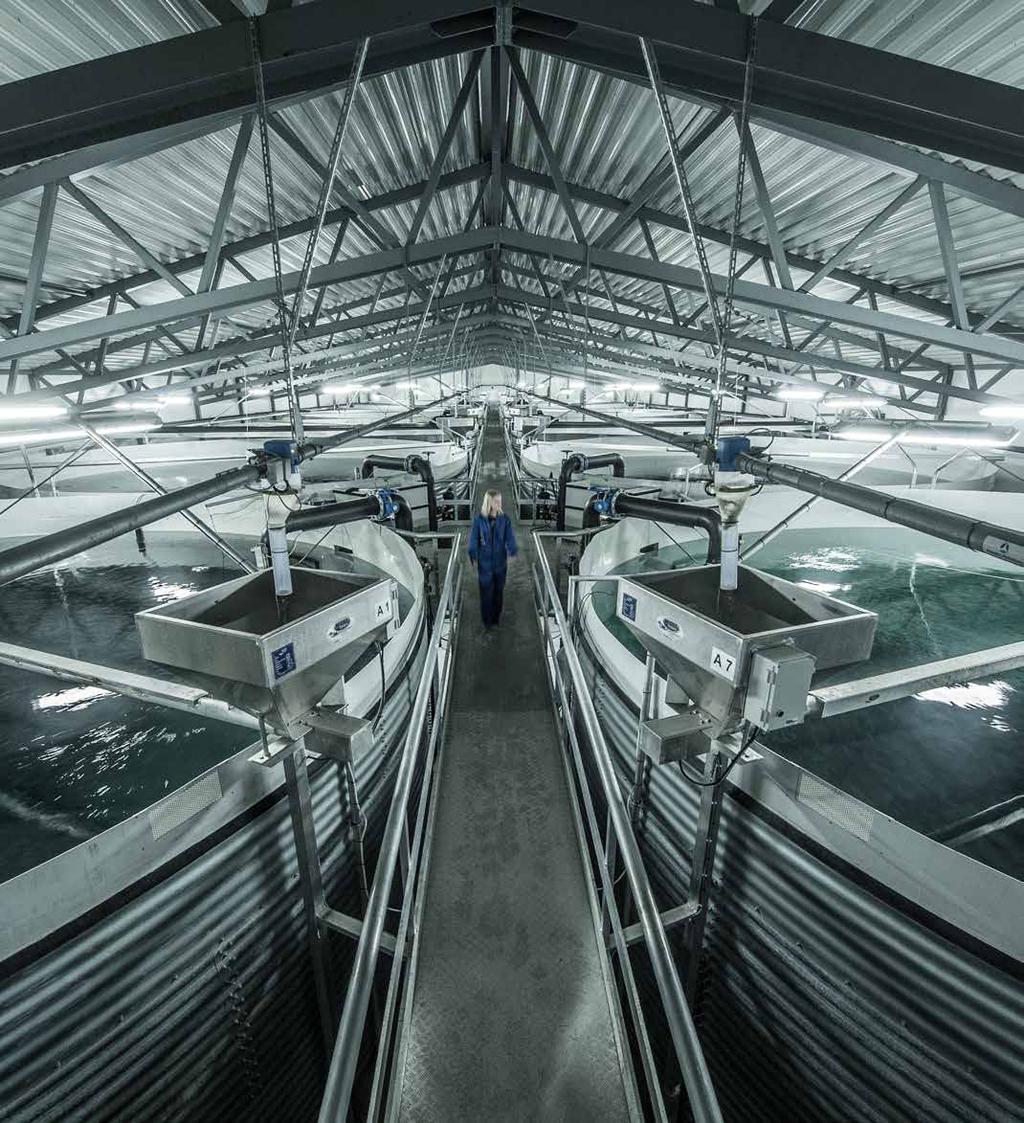 Land Based Aquaculture Landbasert akvakultur Din teknologipartner for avansert vannbehandling Water treatment AKVA group har mer enn 40 års erfaring med konstruksjon av oppdrettsteknologi.