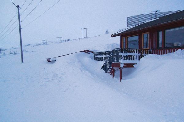 i en snørik