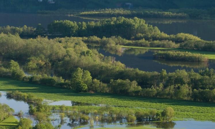 tanke på klimaendringer Restaurere våtmark og styrke forvaltningen