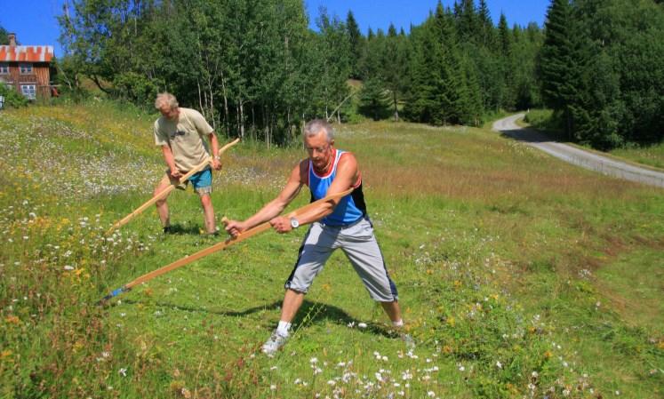 Å ta vare på truet natur (kapittel 6) Arealbaserte