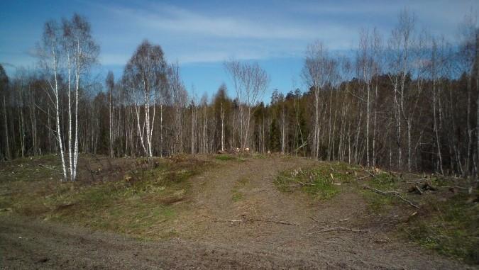 Inngjerding og rydding av gamle kulturbeiter kan kvalifisere til SMIL-tilskudd. Foto:. Bilde fra Vivestad som viser stabilisering av bekkekant og nye utløp.