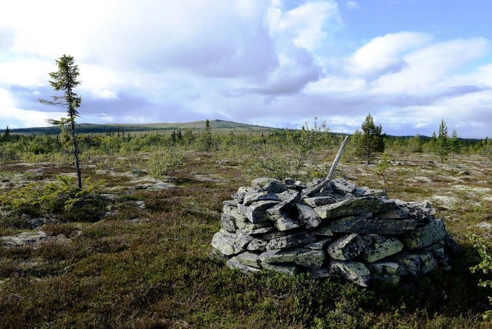 LAV HØYT OG LAVT Bildet: Storfjellet, med Grønkampen i bakgrunnen. Her starter lavsafarien «Landet Cladonia».