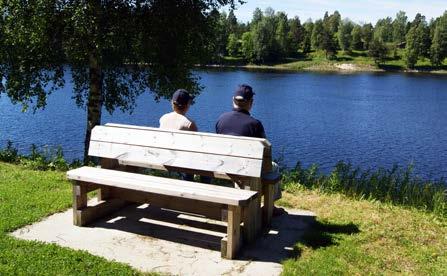 Glomma er det største bidrage til blå struktur i byen, og