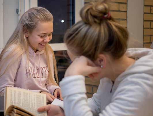 NORSKOPPLÆRING Mål Elevene i lierskolen har en lese- og skrivekompetanse som gjør dem i stand til å