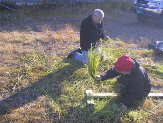 Duojariid Dallu AS, Nesseby, fikk 34.500 kr. i 2008 til kurs i innhøsting av råmaterialer.