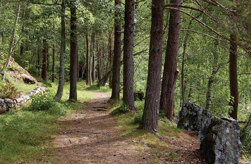 Den er i dag delvis gjengrodd, men U-formen er fremdeles tydelig på Skiri. De farende krysset elva like nord for Årstallsteinen.