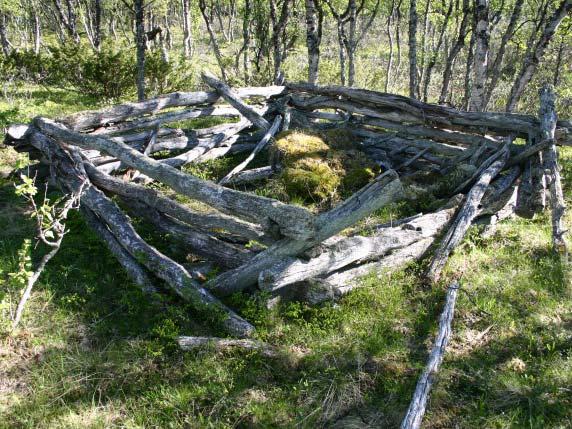 Engbjørkeskogen er også her ofte open og tresett med gamle store bjørketre som vitnar om tidlegare slått. Innslag av rik sumpskog forekjem. Ved lifoten ligg fleire setervollar.