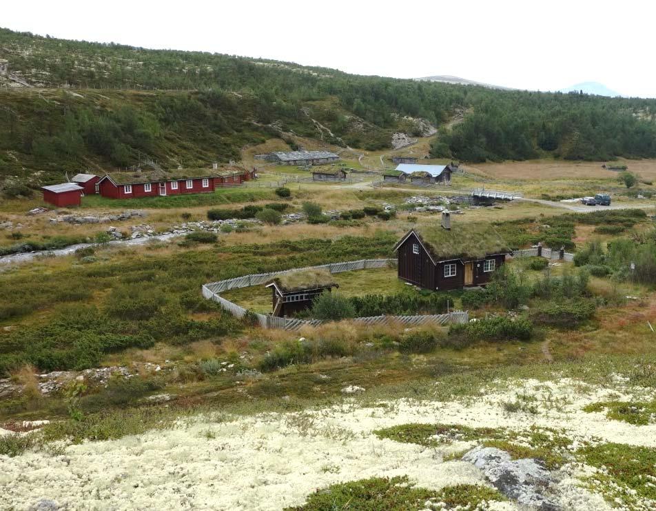 Norsk institutt for bioøkonomi (NIBIO) vart oppretta 1. juli 2015 som ein fusjon av Bioforsk, Norsk institutt for landbruksøkonomisk forskning (NILF) og Norsk institutt for skog og landskap.