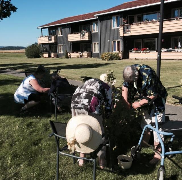 Beskrivelse av bygg og erfaringer med bruk og