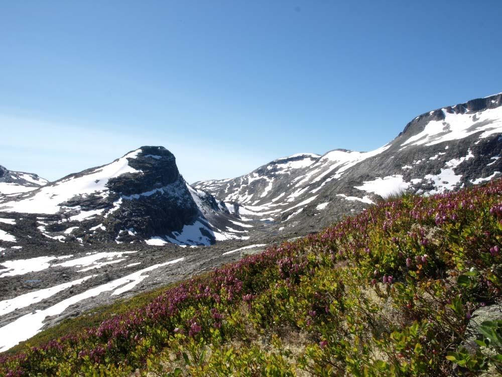 ÅRSRAPPORT FOR 2010 Stortussen/Snøtind og Kaldfonna Et delprosjekt av GLORIA Norge et integrert og langsiktig