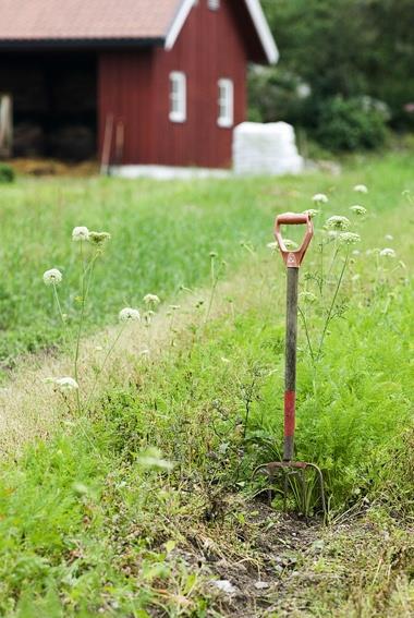 Dokumentasjon! Selvangivelse og næringsoppgaven for siste år samt Landbruksskjema. Takst av nyere dato eller en kort beskrivelse av eiendommen med anlegg eller bilder.