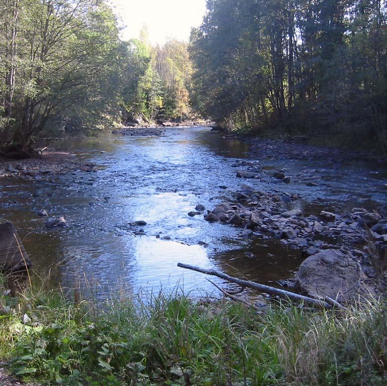 Flomberegning for Sørkedalselva