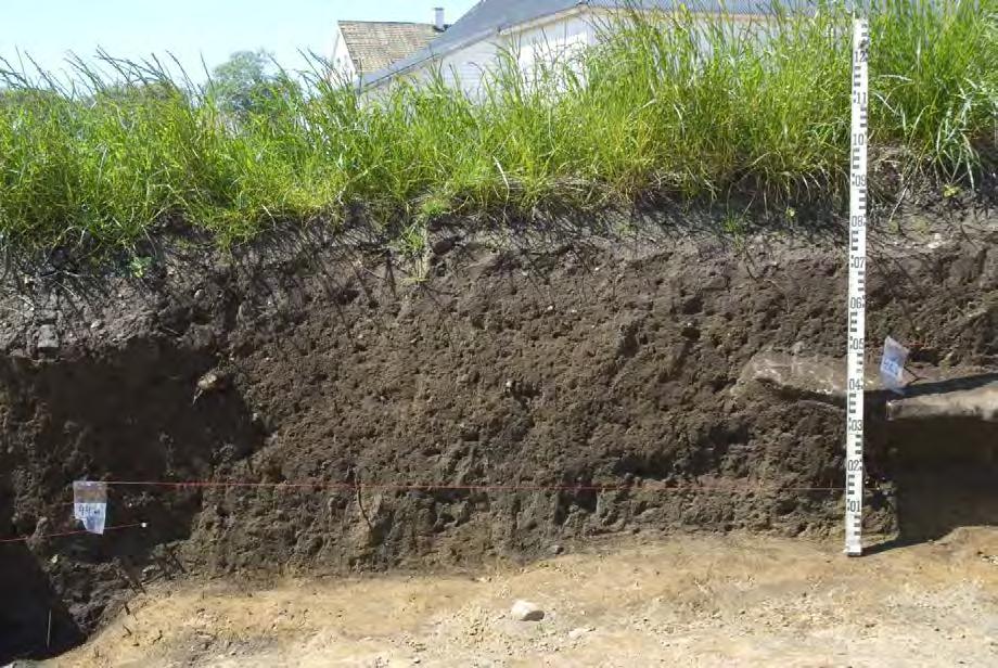 To prøver ble tatt og det var et frø av knegras. Lengdesnitt 2 grop/stolpehull 43,5 meter: I lag S2 var det en nedgravning med humusholdig sand.