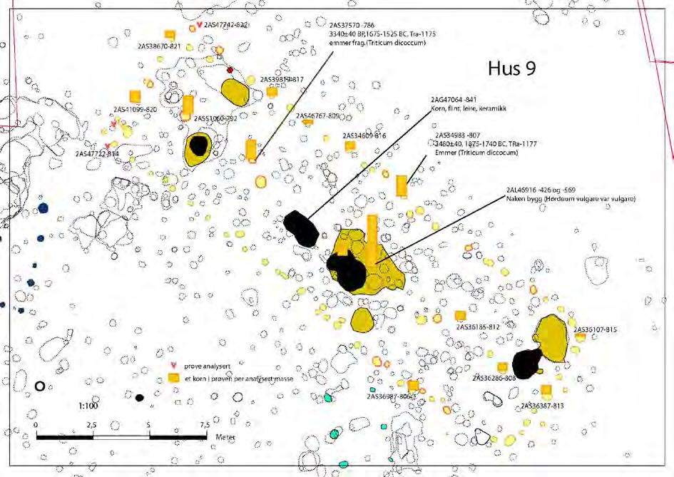 hønsegrasslekten og linbendel. Emmer fra to prøver er datert: fra veggstolpe 34983: 3480±40 BP, 1875-1740 BC og fra takbærende stolpe 37570: 3340±40 BP, 1675-1525 BC.