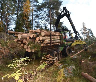 Investeringsbudsjettet Utskifting av maskiner og utstyr Det er i 2017 satt av 2 millioner kroner til utskifting/innkjøp av utstyr, herunder 1 million kroner til skogsmaskin.