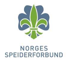 MANDAT FOR ARRANGØR AV NM I SPEIDING 2017 Prosjektleder: Roy Arild Rugsveen Oppdragsgiver: Speidernes fellesorganisasjon DATO OG STED NM i speiding skal gjennomføres 9.-11. juni 2017 på Elverum.