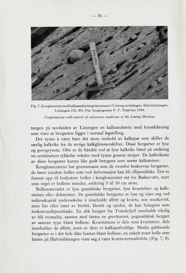 36 Fig. 7. Konglomerat med kalksandsteinsgrunnmasse i Liming-avdelingen. Halvmilstangen, Limingen (52, 46). Fot. bergingeniør P. F. Trøften 1954.