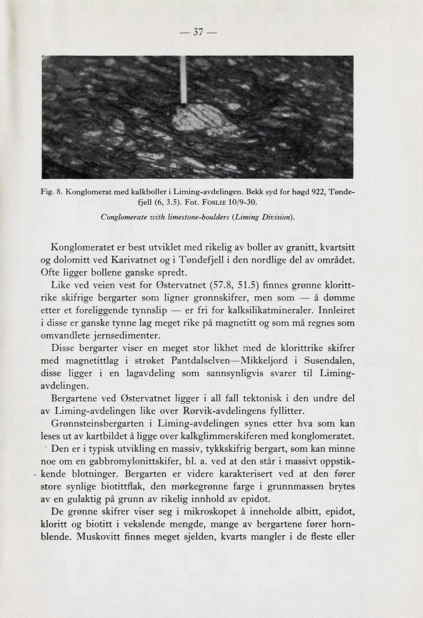 37 Fig. 8. Konglomerat med kalkboller i Liming-avdelingen. Bekk syd for høgd 922, Tønde fjell (6, 3.5). Fot. Foslie 10/9-30. Conglomerate zvith limestone-boulders (Liming Divisiori).