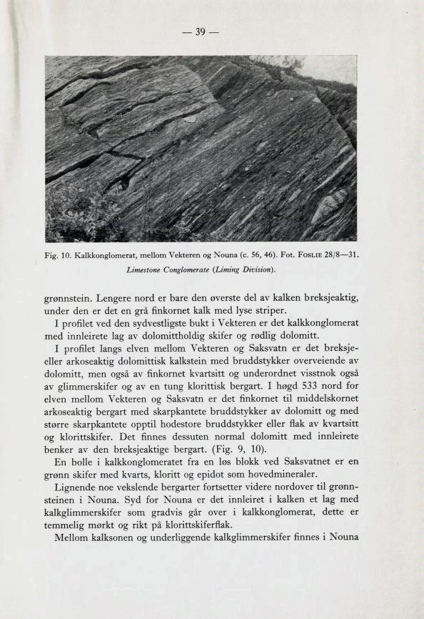 39 Fig. 10. Kalkkonglomerat, mellom Vekteren og Nouna (c. 56, 46). Fot. Foslie 28/B 3l Limestone Conglomerate {Liming Divisiori). grønnstein.