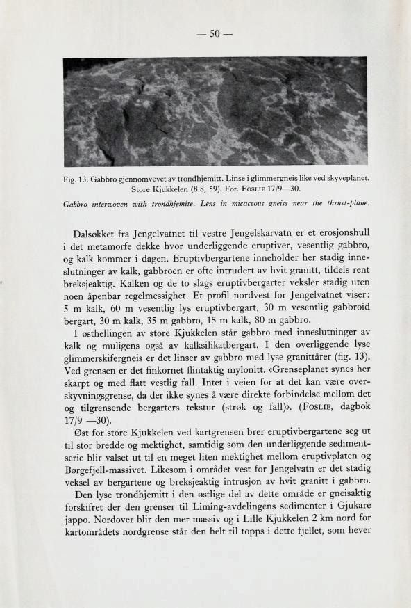 50 Fig. 13. Gabbro gjennomvevet av trondhjemitt. Linse i glimmergneis like ved skyveplanet. Store Kjukkelen (8.8, 59). Fot. Foslie 17/9 30. Gabbro interwoven voith trondhjemite.