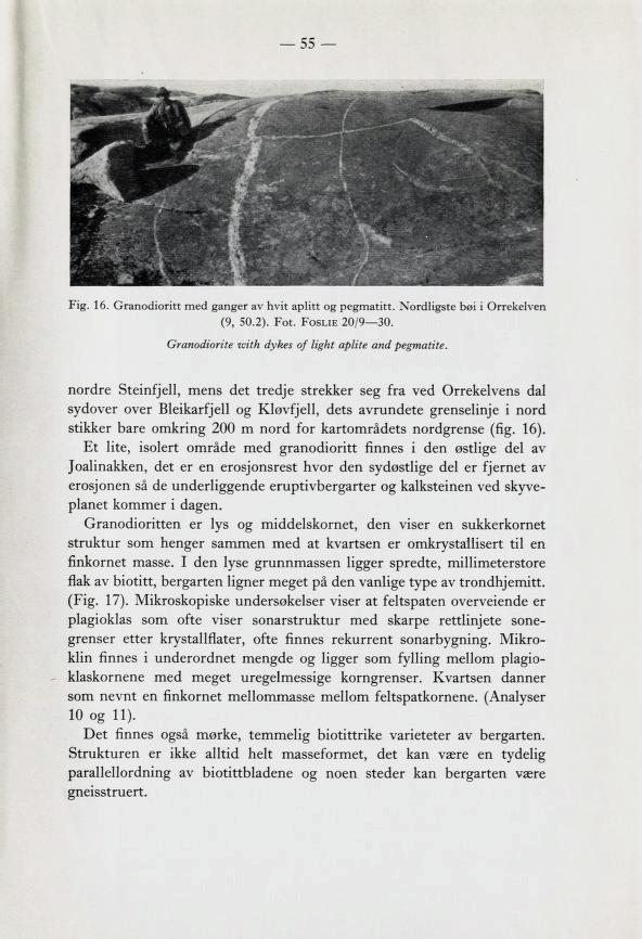 55 Fig. 16. Granodioritt med ganger av hvit aplitt og pegmatitt. Nordligste bøi i Orrekelven (9, 50.2). Fot. Foslie 20/9 30. Granodiorite with dykes of light aplite and pegmatite.