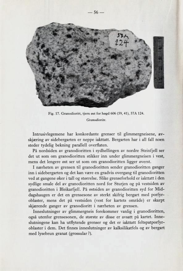 56 Fig. 17. Granodioritt, tjern øst for høgd 606 (59, 41), 57A 124 Granodiorite. Intrusivlegemene har konkordante grenser til glimmergneisene, av skjæring av sidebergarten er neppe iakttatt.