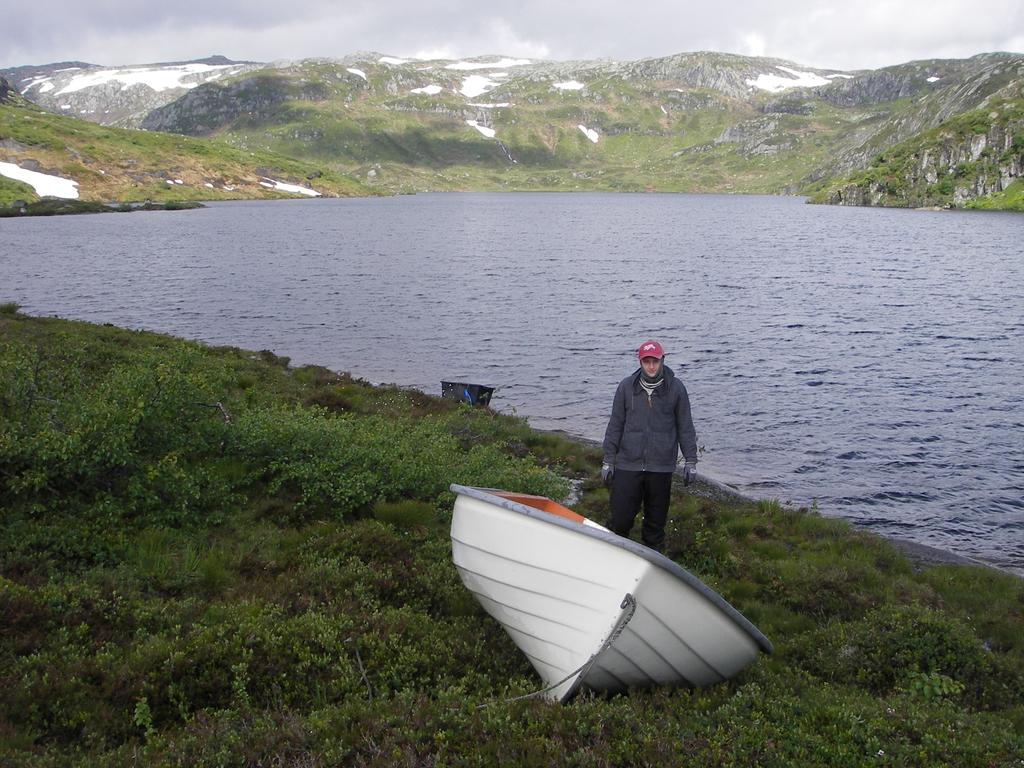 ESPEN ENGE (org. nr. MVA). INNSJØER De tre innsjøene som ble undersøkt i ligger alle i Gjesdal, i sørøstre deler av Rogaland. Det er denne delen av fylket som fortsatt er forsuringspåvirket (Enge ).