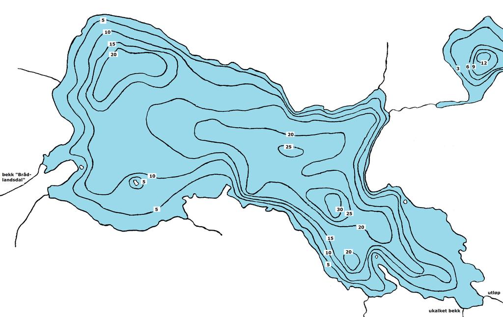 ESPEN ENGE (org. nr. MVA) Figur : Djupavatn dybdekart (opploddet: Hunnedalen Vel) Tabell : Eldre prøvefiskedata fra Djupavatn År Ant.